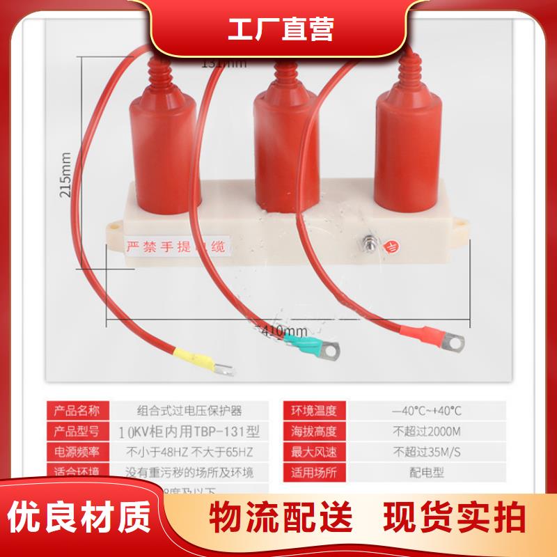 TBP-C-7.6F/100W1间隙过电压保护器