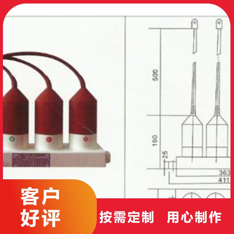 TBP-B-42F/200组合式过电压保护器