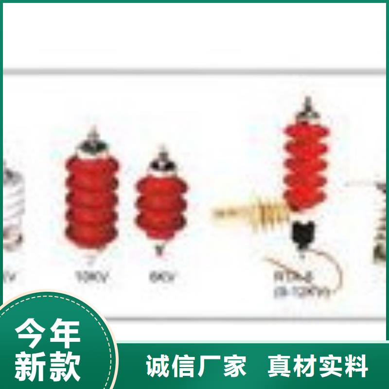 TBP-B-42F/310组合式避雷器