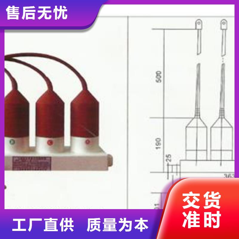 TBP-0-7.6F中性点避雷器