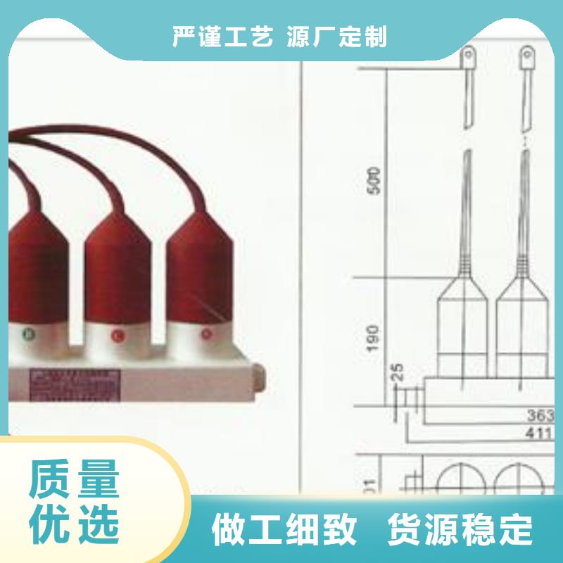 TBP-C-42F/200过电压保护器