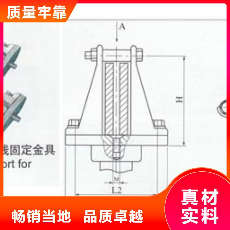 TMY-100*12母线樊高