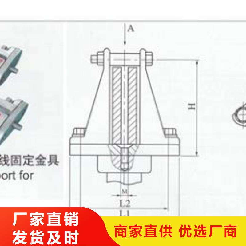 MGZ-250终端球