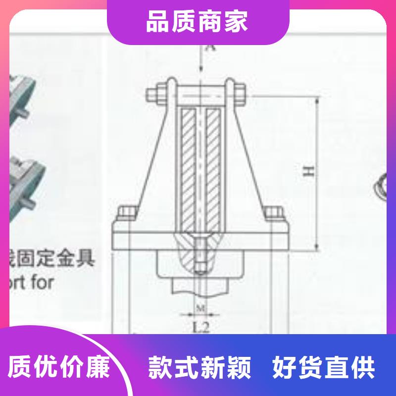 TMY-100*10铜母线樊高