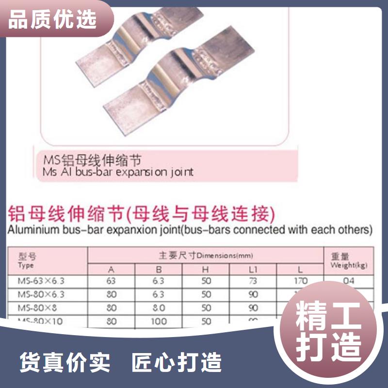 MST-10*120母线伸缩节樊高