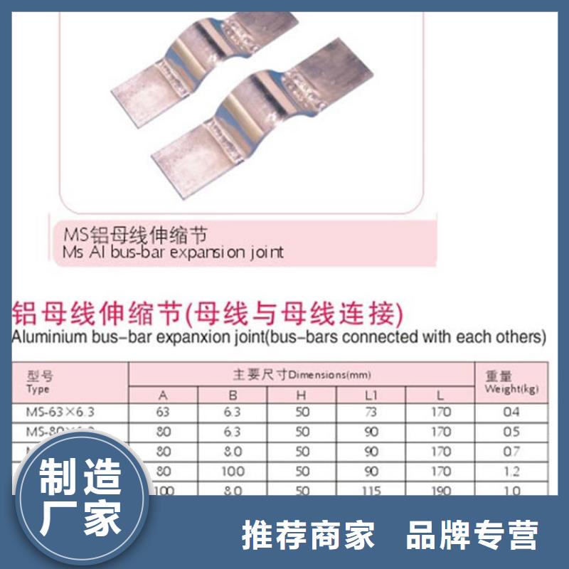 MGT-100母线固定金具樊高