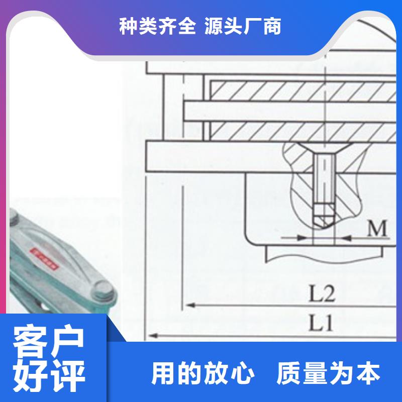 MST-10*120母线伸缩节樊高