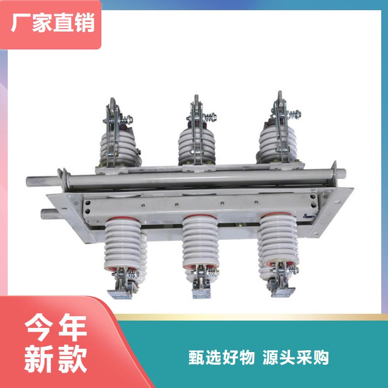 RWK-0.5/1000低压隔离刀闸