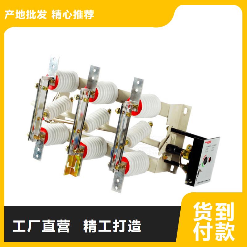 澄迈县RWK2-0.5/500A低压隔离刀闸