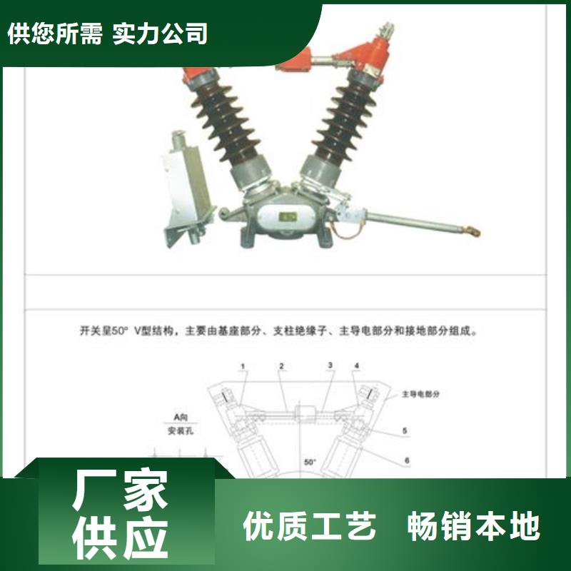 HGW9-10/1000高压隔离开关