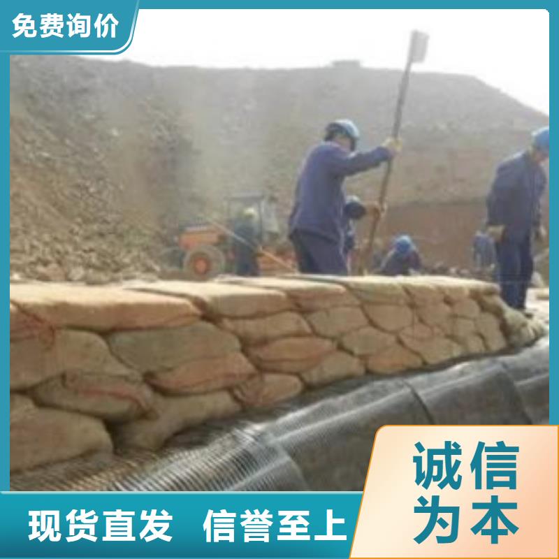 【单向塑料格栅】膨润土防水毯厂家定制