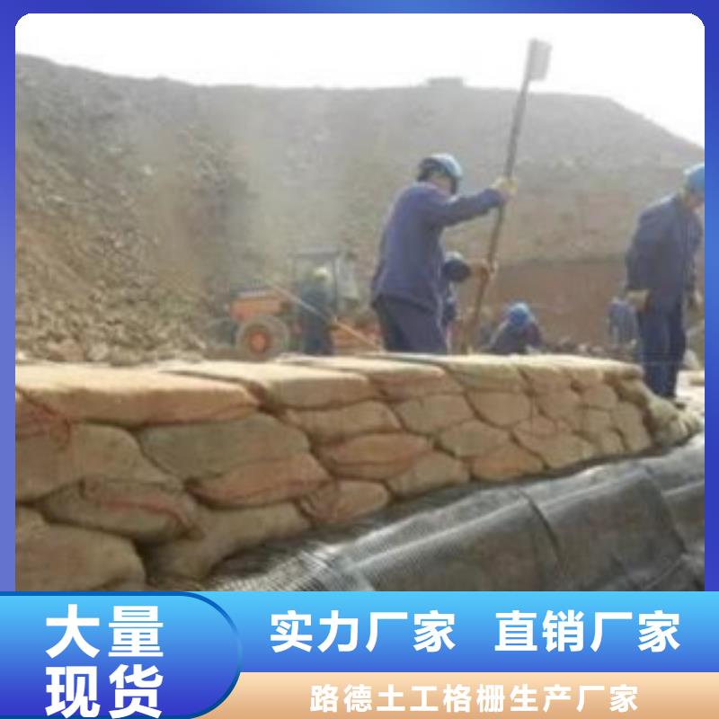 【单向塑料格栅】高强度土工网售后无忧