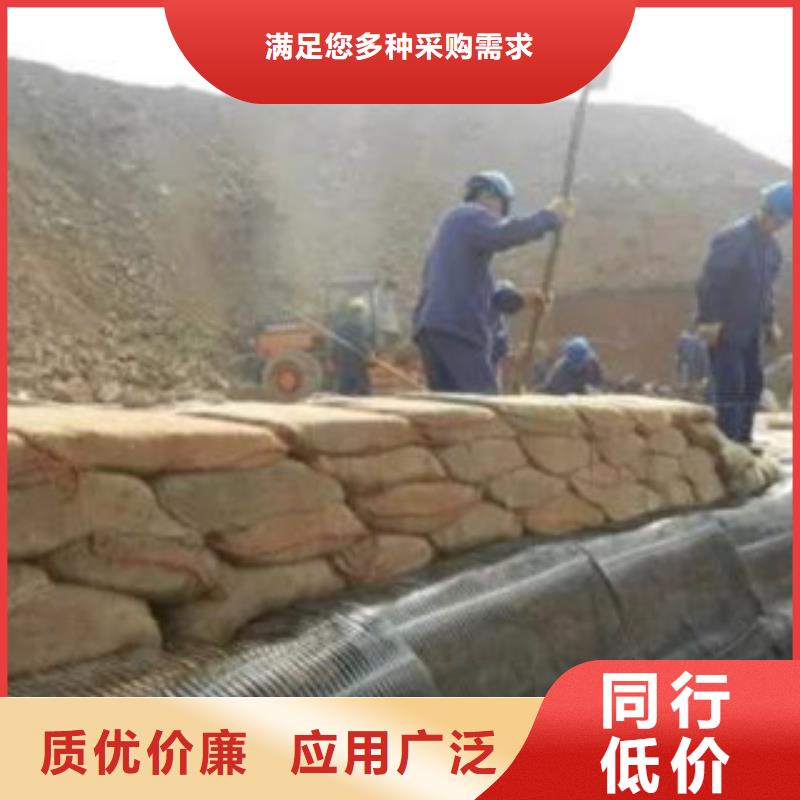 单向塑料格栅-膨润土防水毯采购无忧