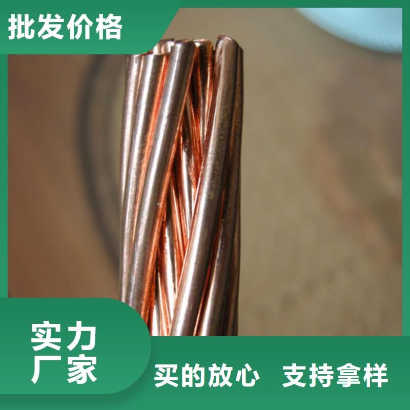TJ-400平方镀锡铜绞线常用指南【厂家】