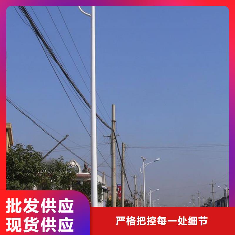 太阳能市电太阳能路灯厂家交货准时