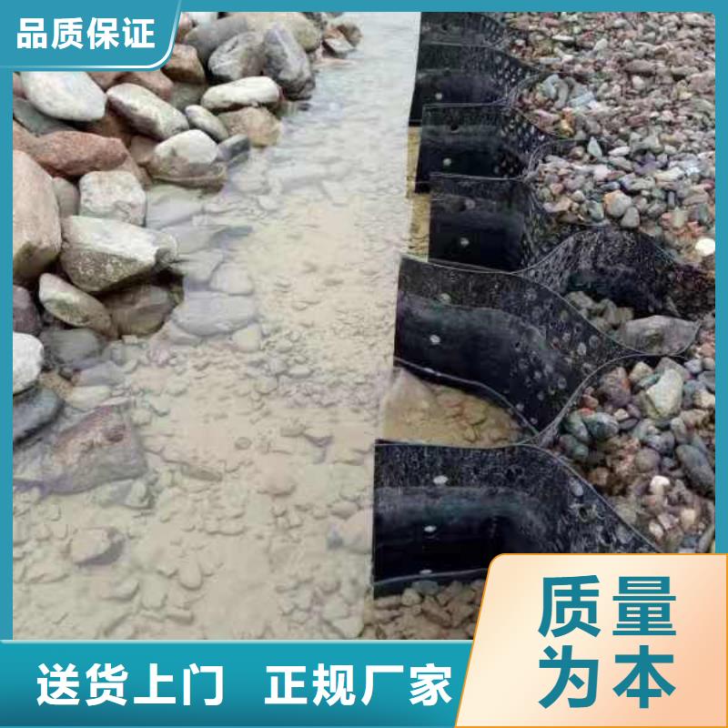 涤纶经编土工格栅