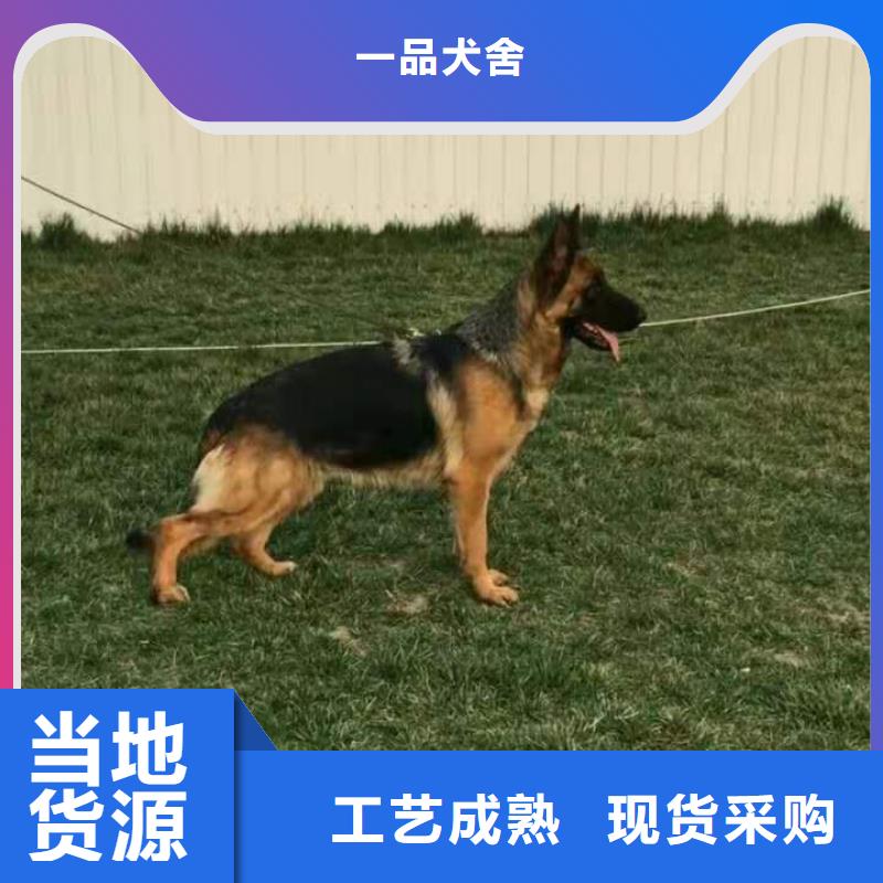 【德国牧羊犬】德牧犬设计合理