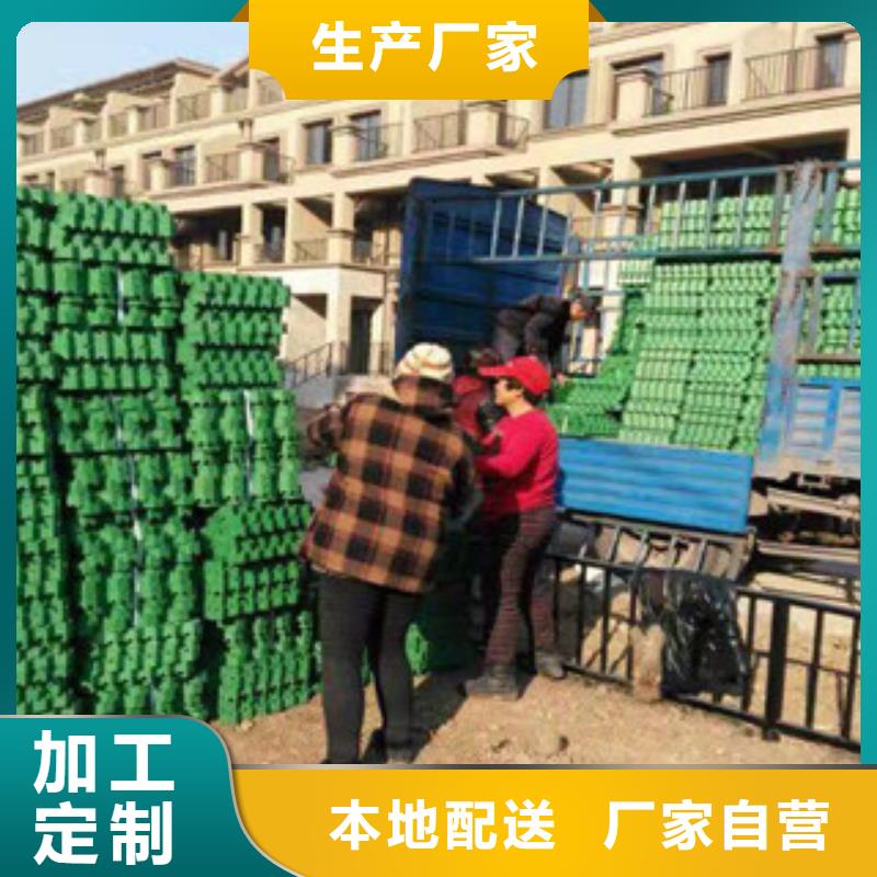 环保植草格【排水板厂家】好产品价格低