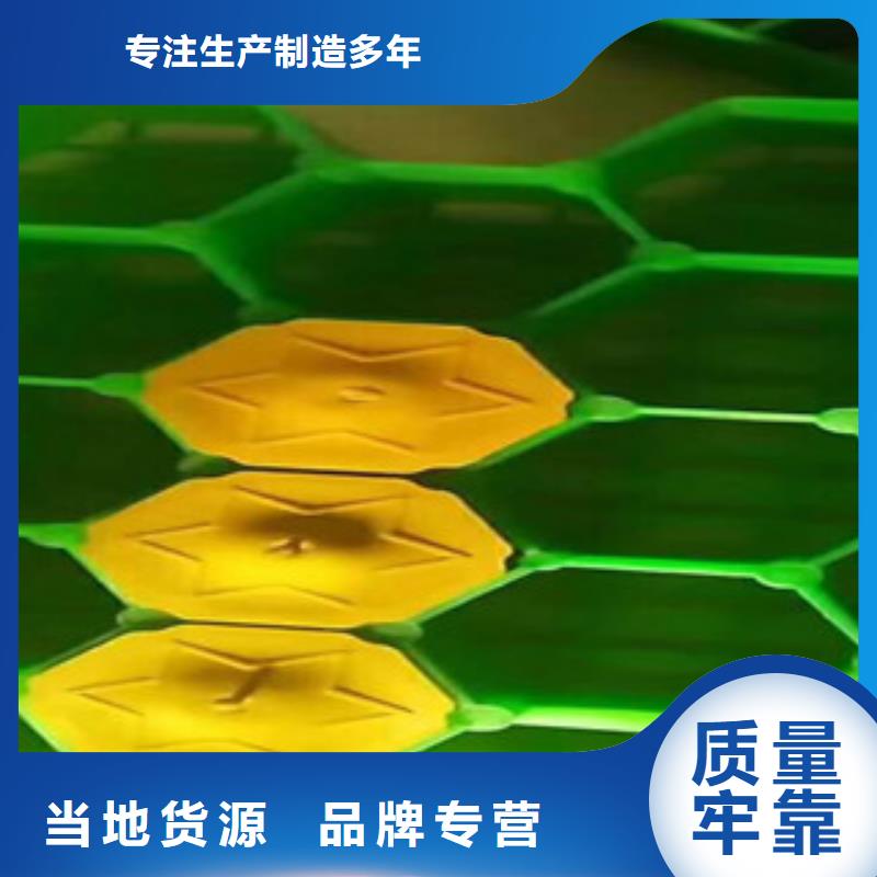 环保植草格【排水板厂家】好产品价格低