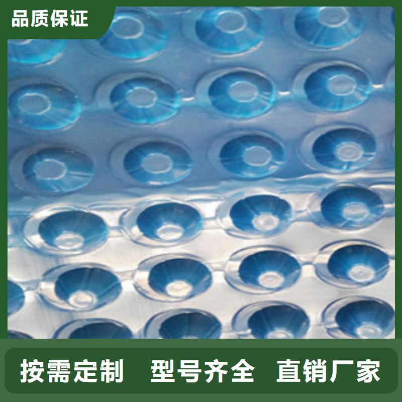 塑料排水板蓄排水板厂家严格把控质量