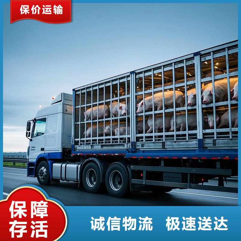 汕尾到大新物流专线货运公司