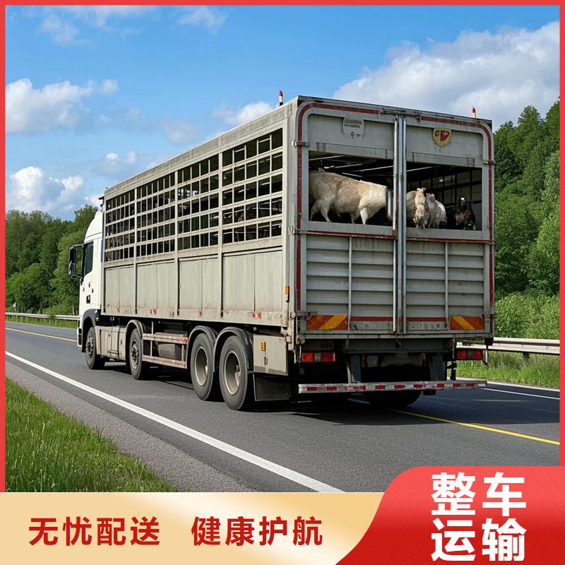 汕尾到大新物流专线货运公司